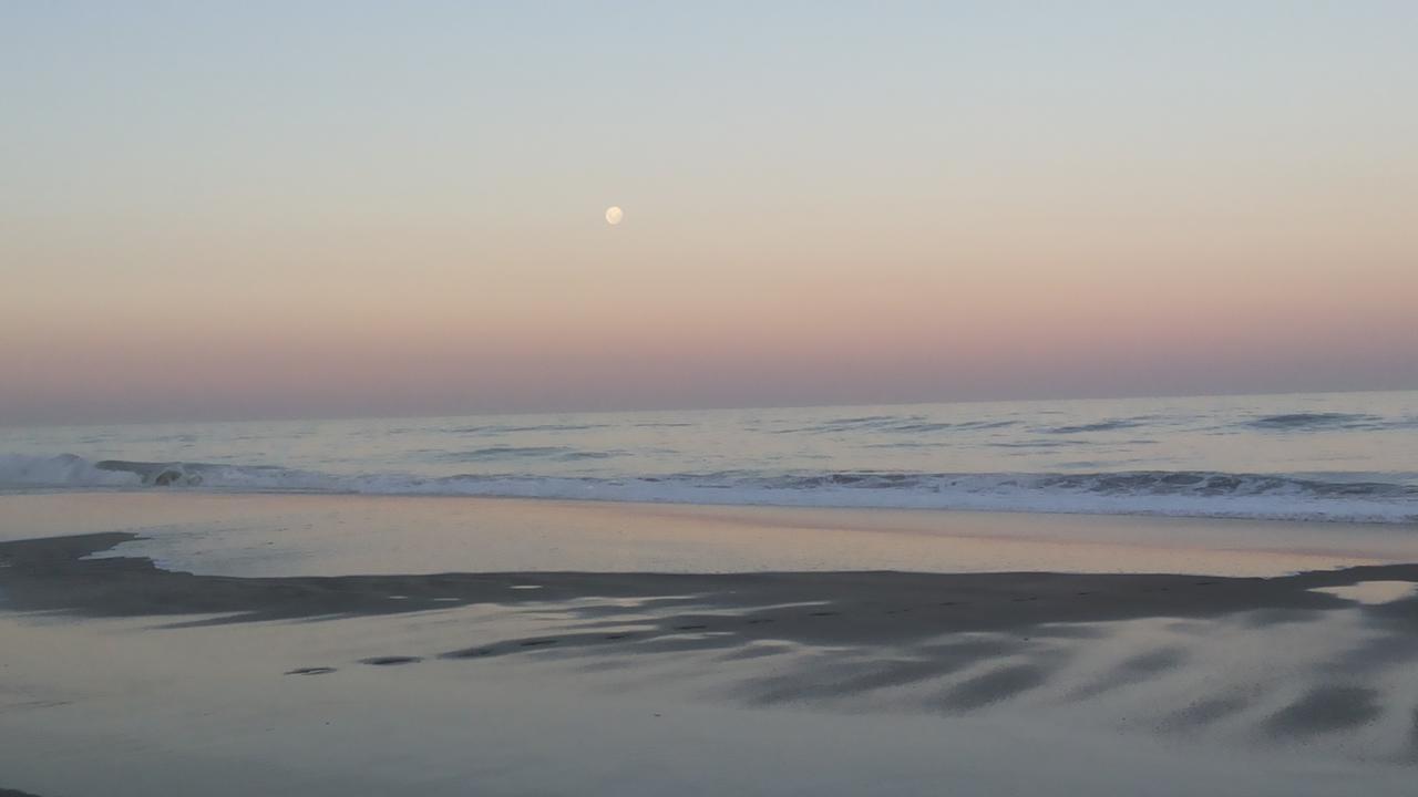 Posta Del Cocodrilo Pinamar